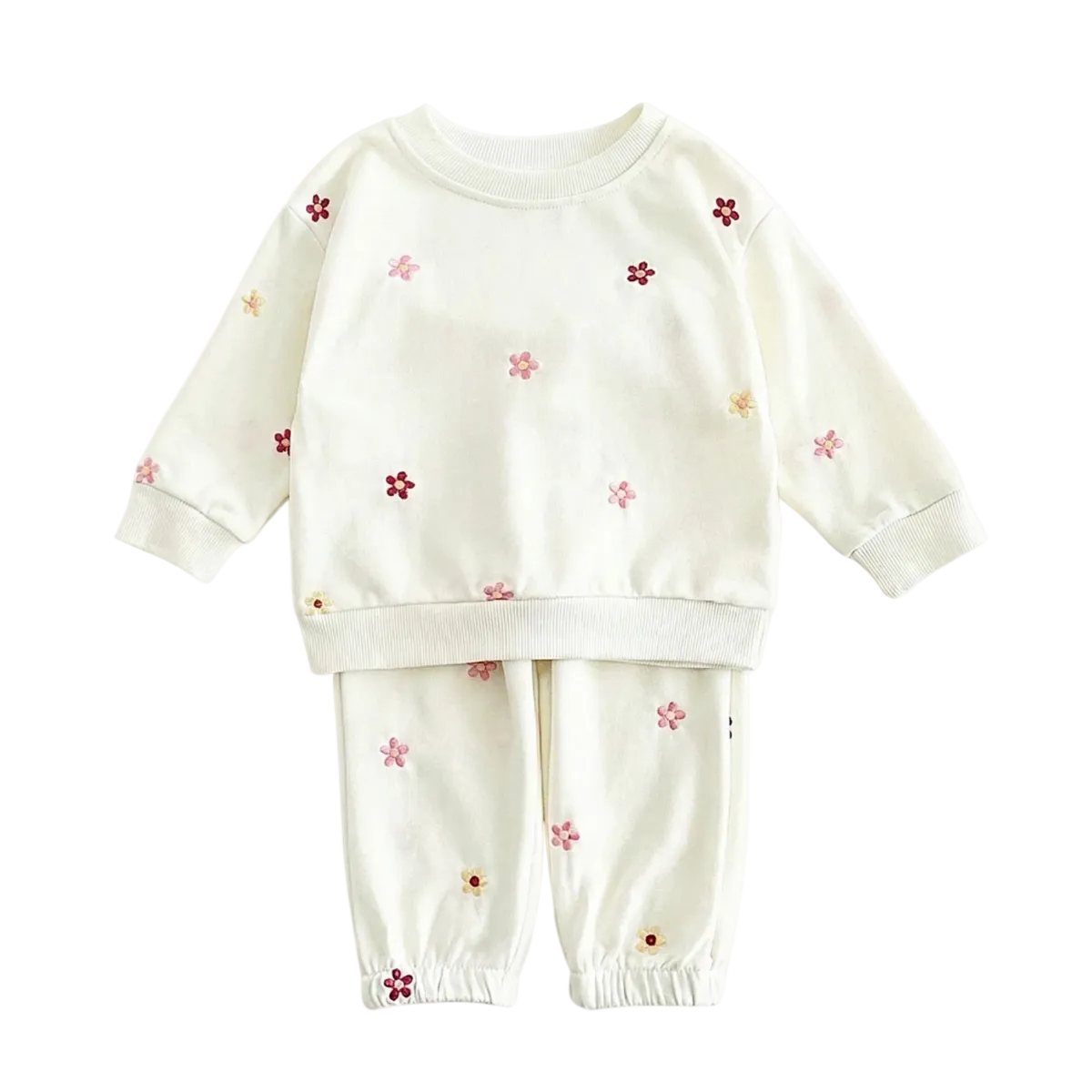 Baby Girls Floral Embroidered Outfit - Cotton Sweatshirt & Pants Set (6M-3T)