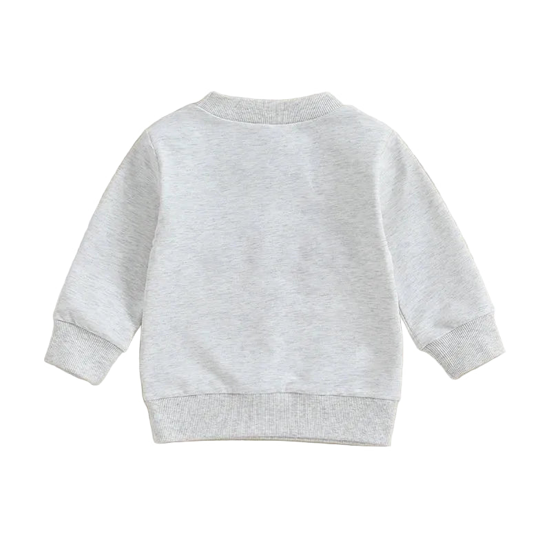 Brother Matching Outfits: Big Bro Sweatshirt & Lil Bro Romper for Baby & Toddler Boys