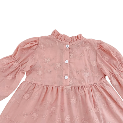 Baby Girl Pink Floral Embroidered Long Sleeve Ruffle Bubble Romper (3M-2T)