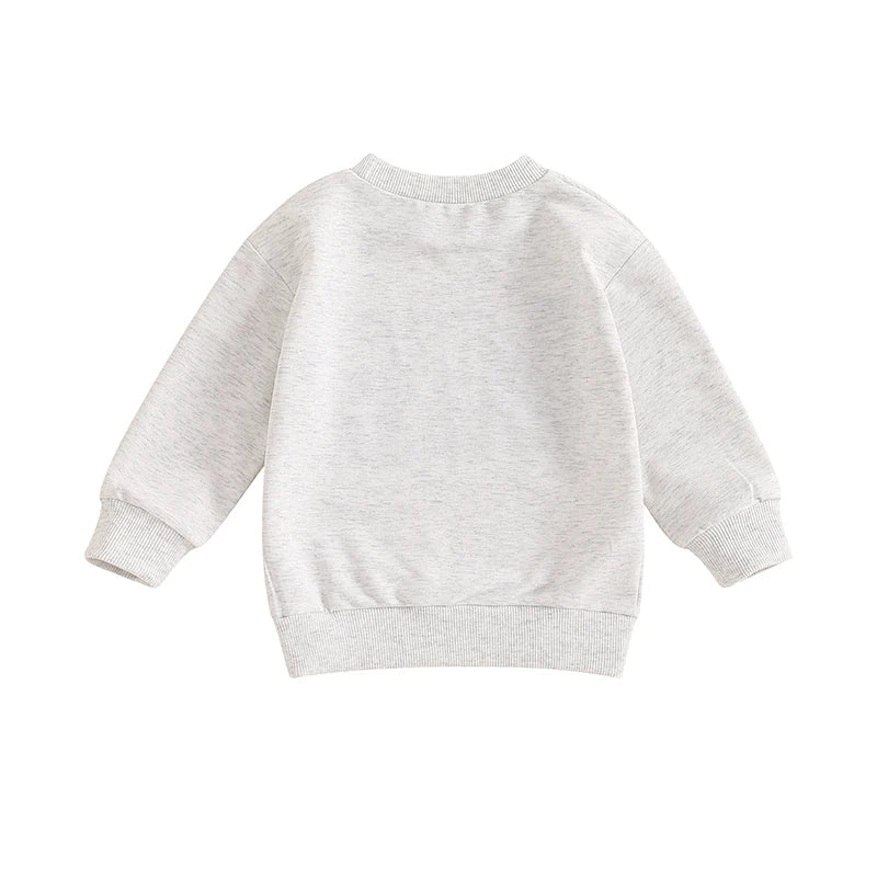 Back view of the solid light grey toddler boys long sleeve pullover sweatshirt on a white background.