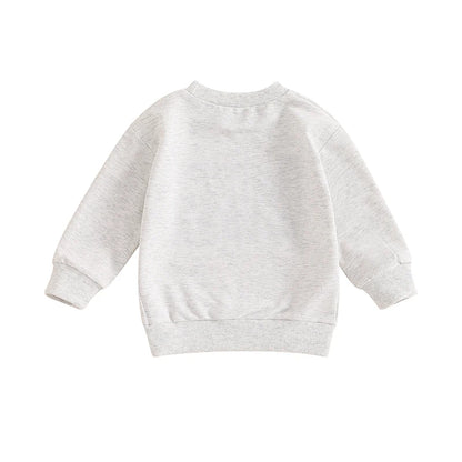 Back view of the solid light grey toddler boys long sleeve pullover sweatshirt on a white background.